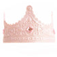 Roze Prinsessenkroon vanaf 3 jaar
