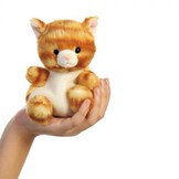 Palm Pals rode kat