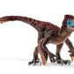 Utahraptor