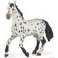 Zwart Appaloosa paard