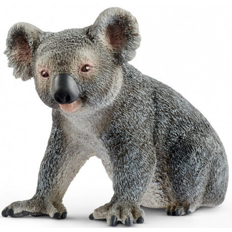 Koalabeer