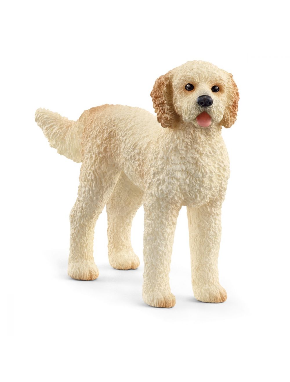 Goldendoodle