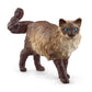 Ragdoll kat