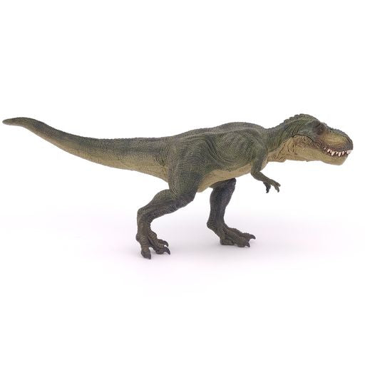 Tyrannosaurus Rex groen, lopend