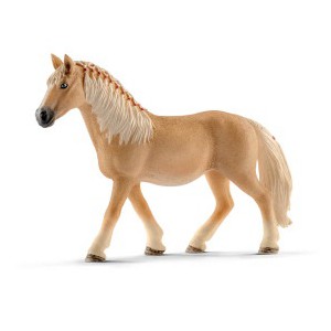 Haflinger merrie