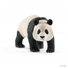 Reuzenpanda mannelijk