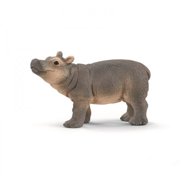 Baby nijlpaard