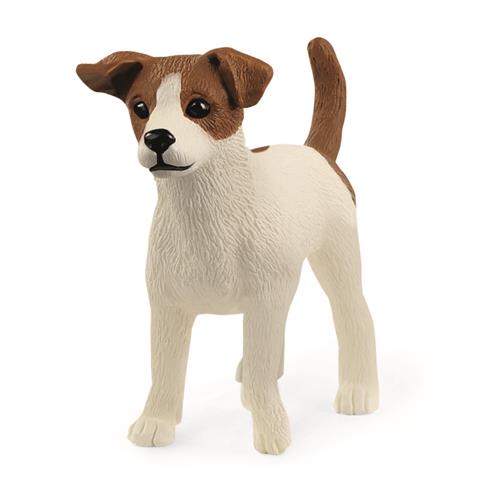 Jack Russellterrier