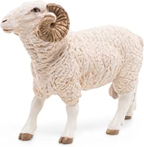 Ram