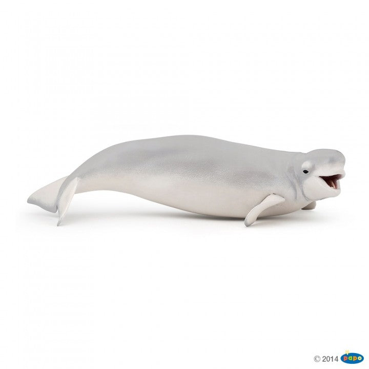 Beloega witte dolfijn