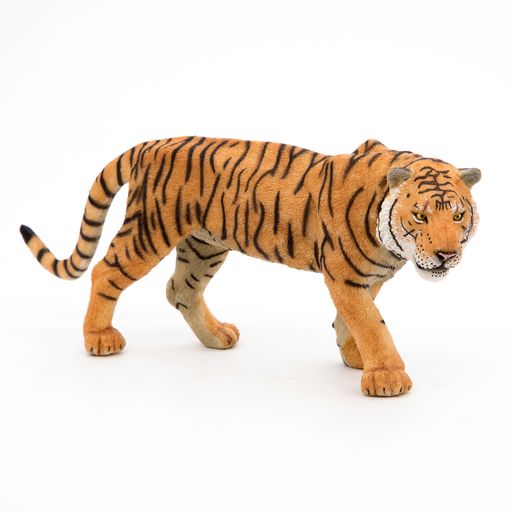 Tijger