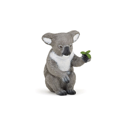 Koala beer