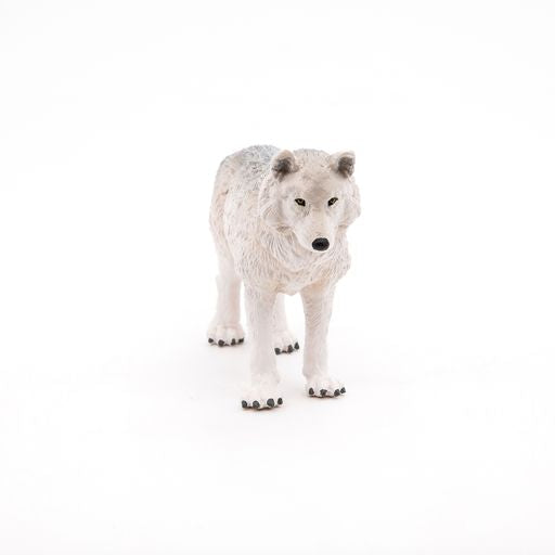 Poolwolf