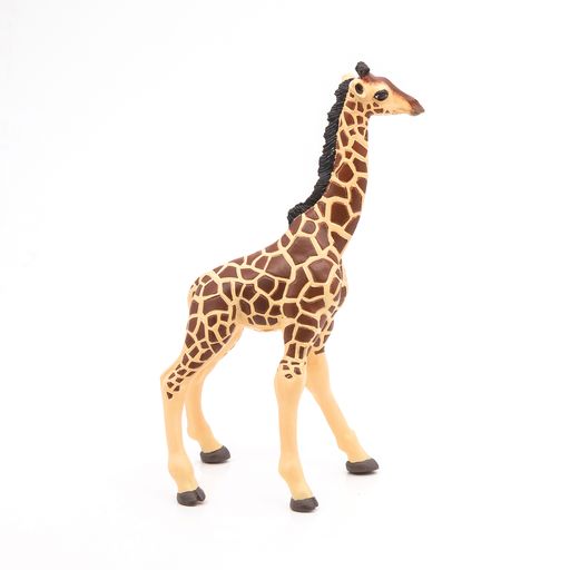 Giraffe kalf