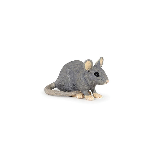 Muis grijs