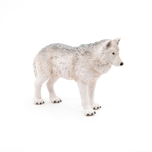 Poolwolf