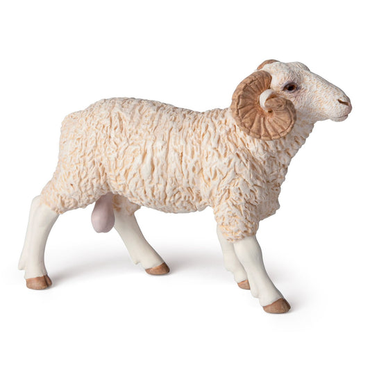 Ram