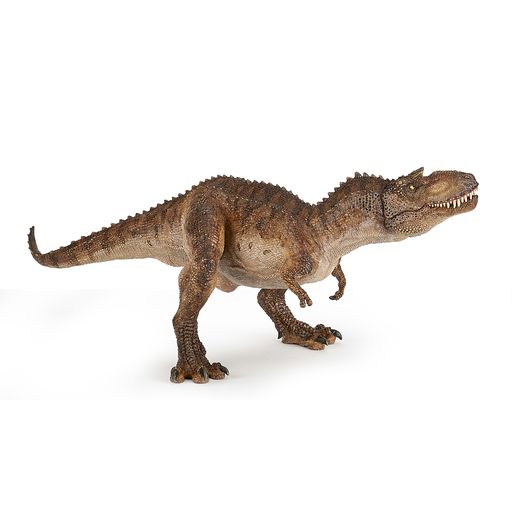 Gorgosaurus