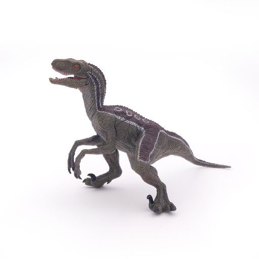 Velociraptor