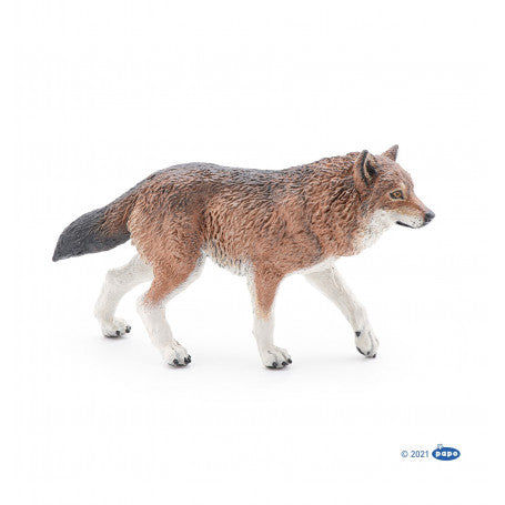 Wolf
