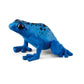Blauwe pijlgifkikker