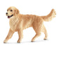 Golden Retriever vrouwtje