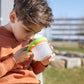 Terra Kids - Bekerloep 3 in 1