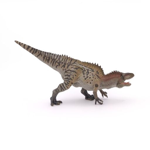 Acrocantosaurus