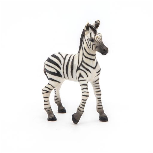 Zebra veulen